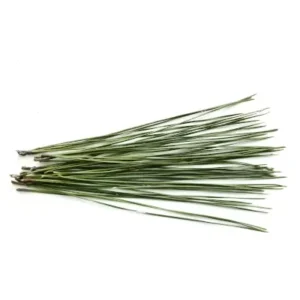 Ciboulette fraîche